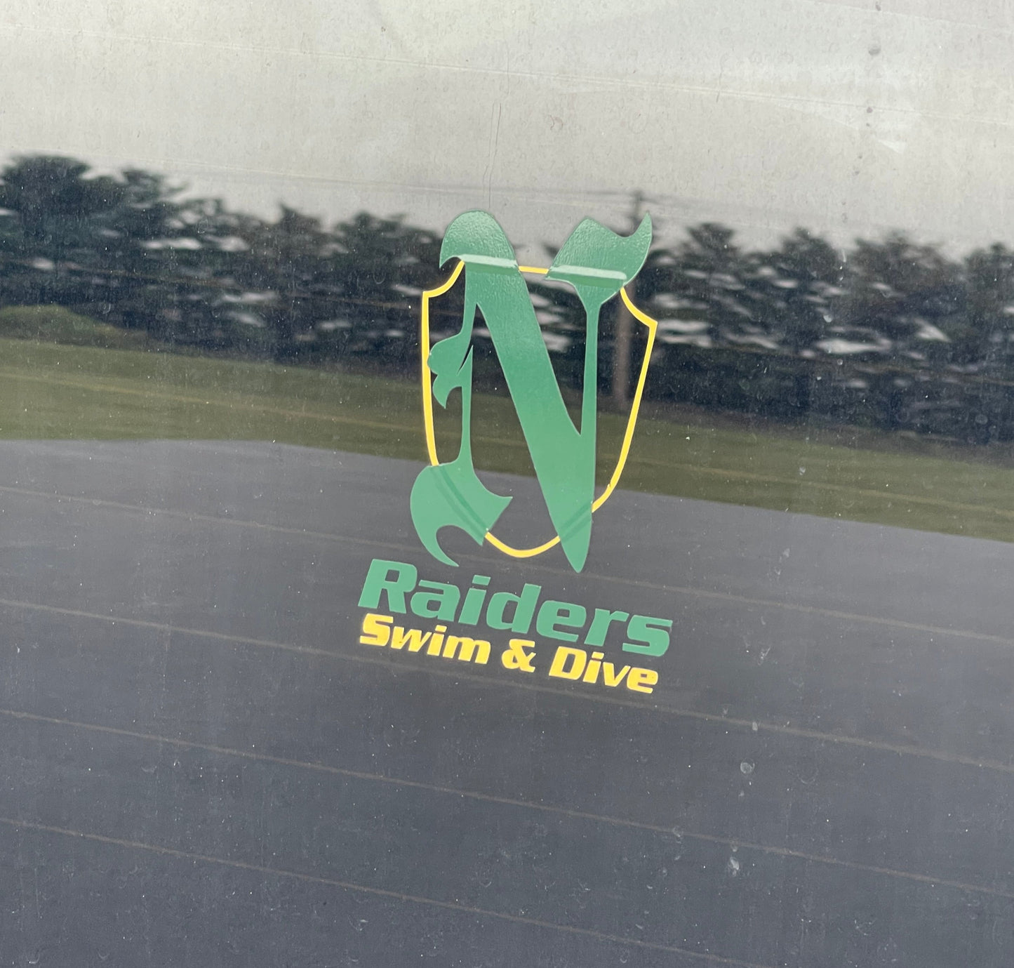 Northridge Swim & Dive Decal